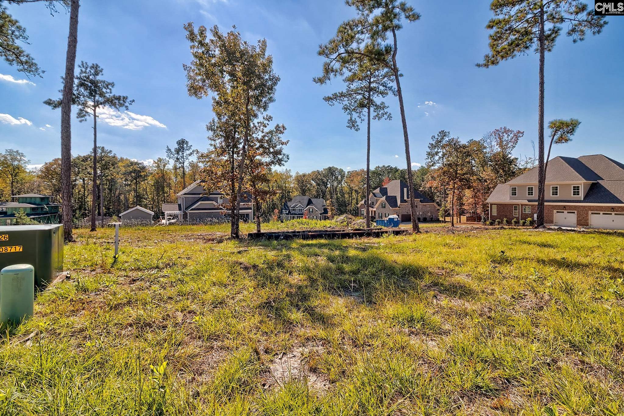 183 Coopers Nursery Road Elgin, SC 29045 - Photo 3 of 14