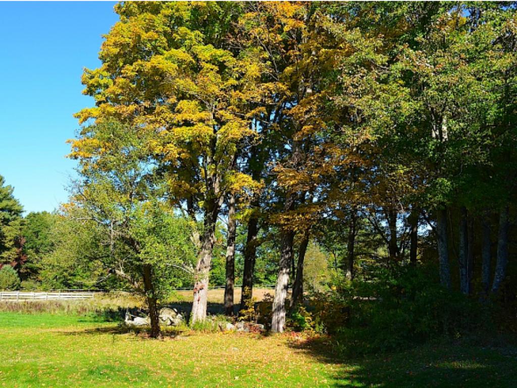 1153 S Road Hopkinton, NH 03229 - Photo 22 of 23