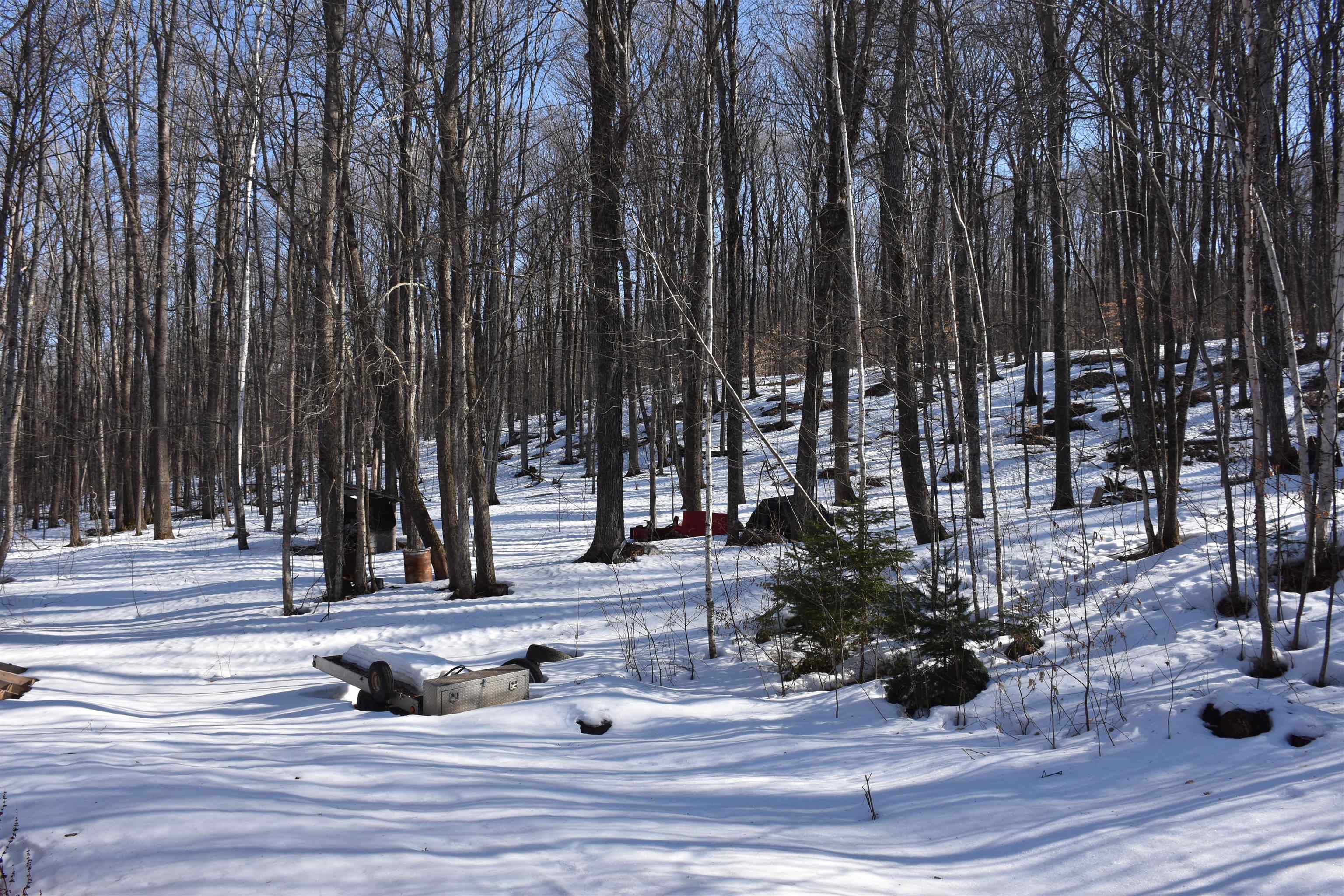 397 Winch Hill Extension Roxbury, VT 05663 - Photo 15 of 51