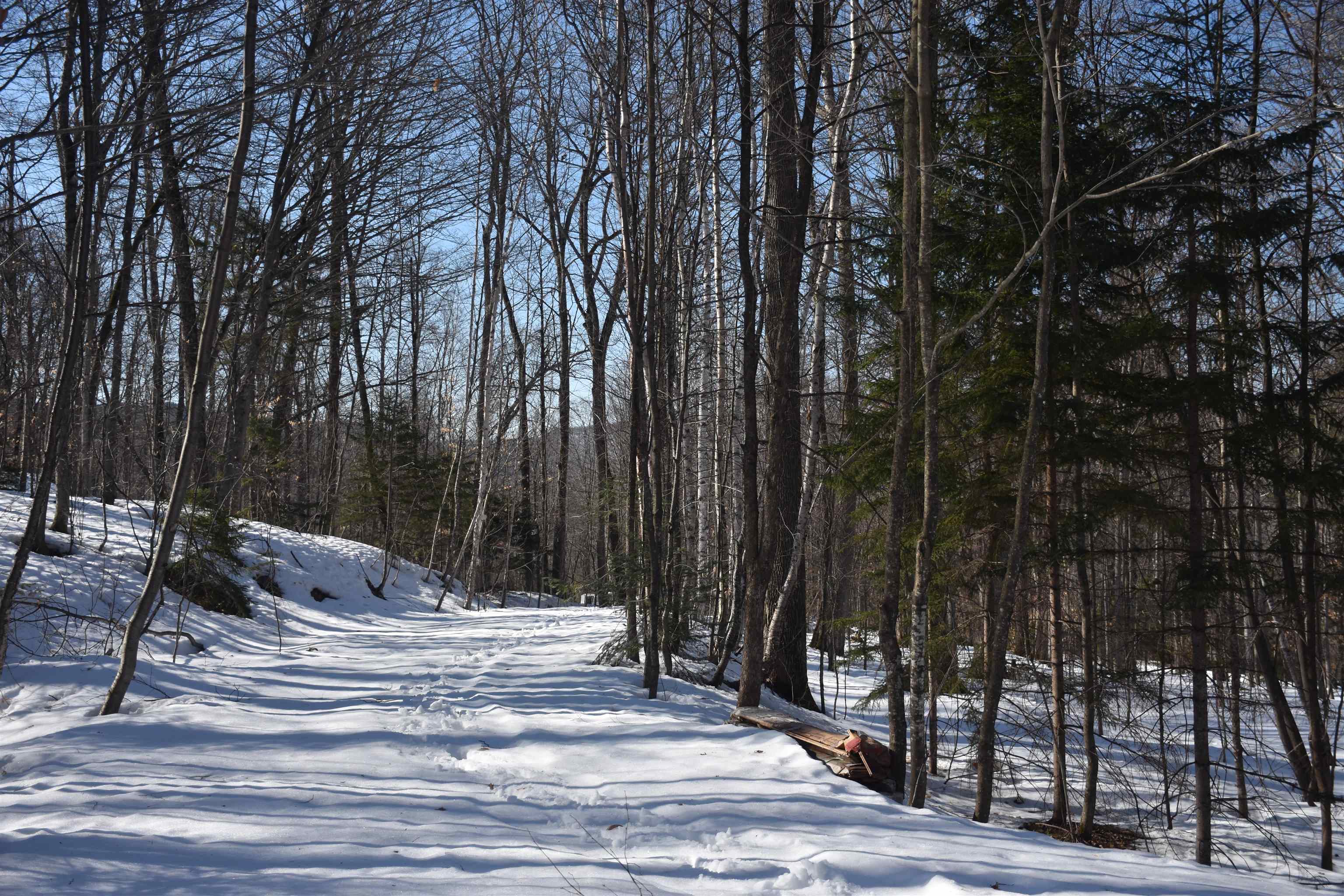 397 Winch Hill Extension Roxbury, VT 05663 - Photo 24 of 51