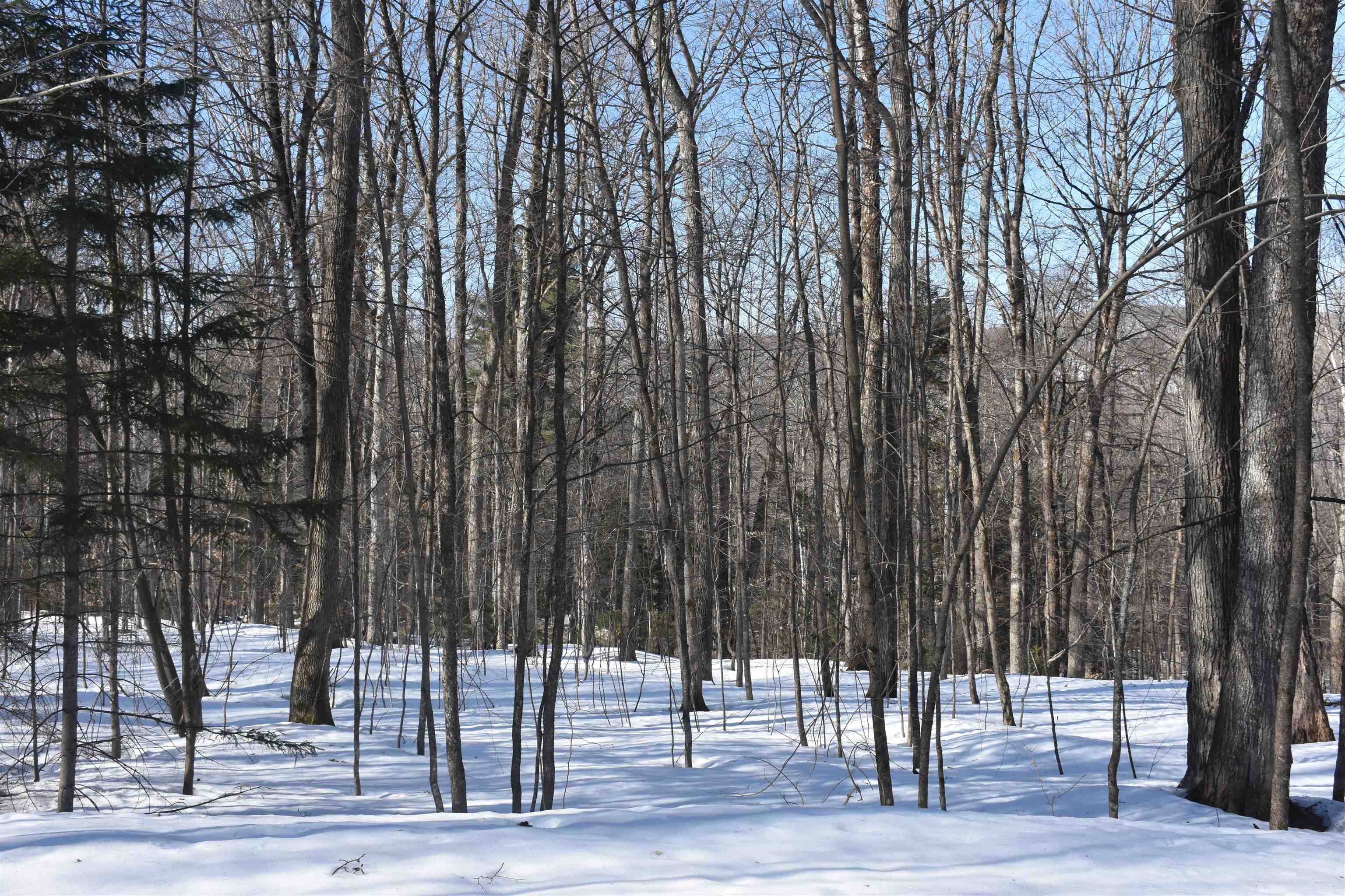 397 Winch Hill Extension Roxbury, VT 05663 - Photo 25 of 51