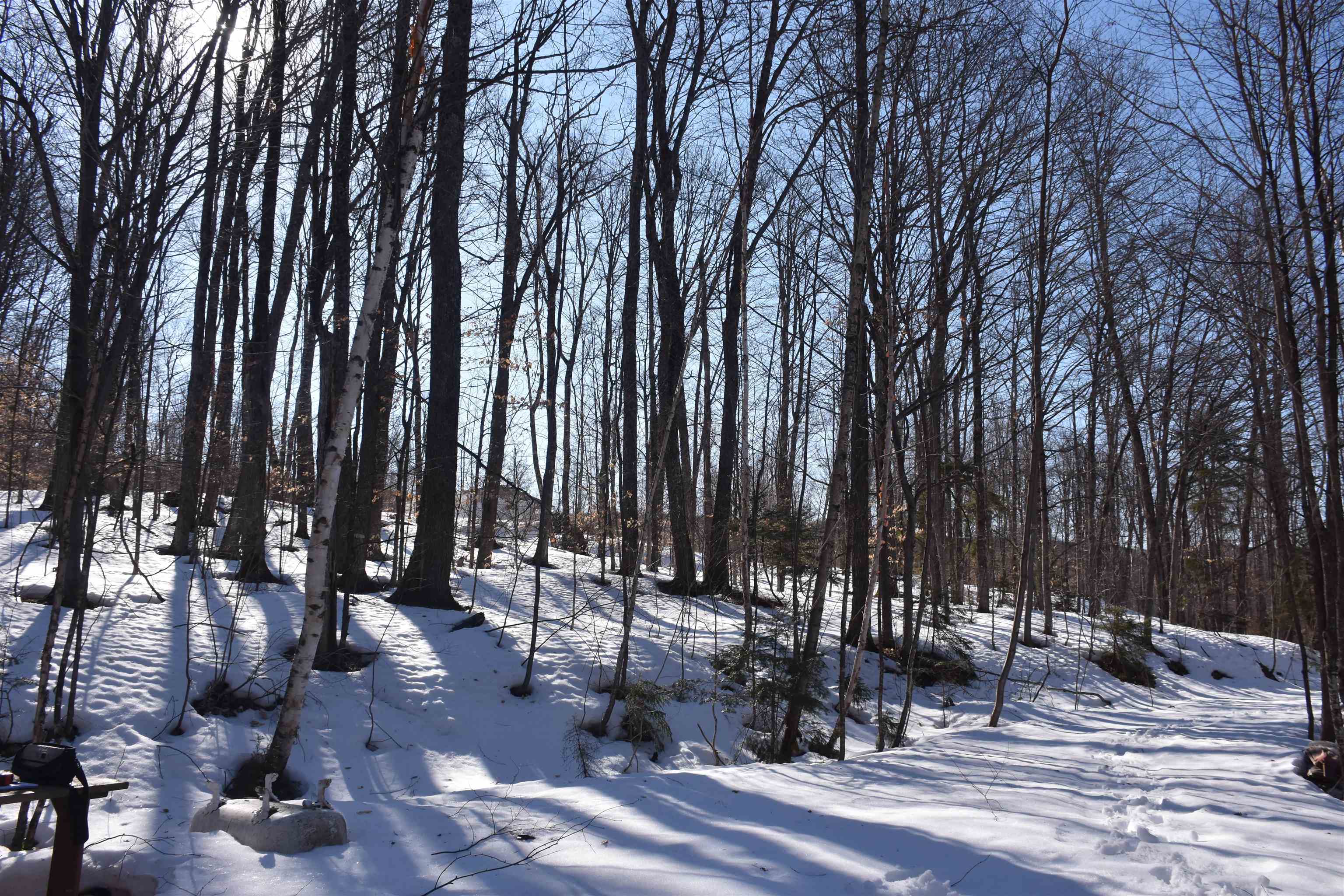 397 Winch Hill Extension Roxbury, VT 05663 - Photo 27 of 51