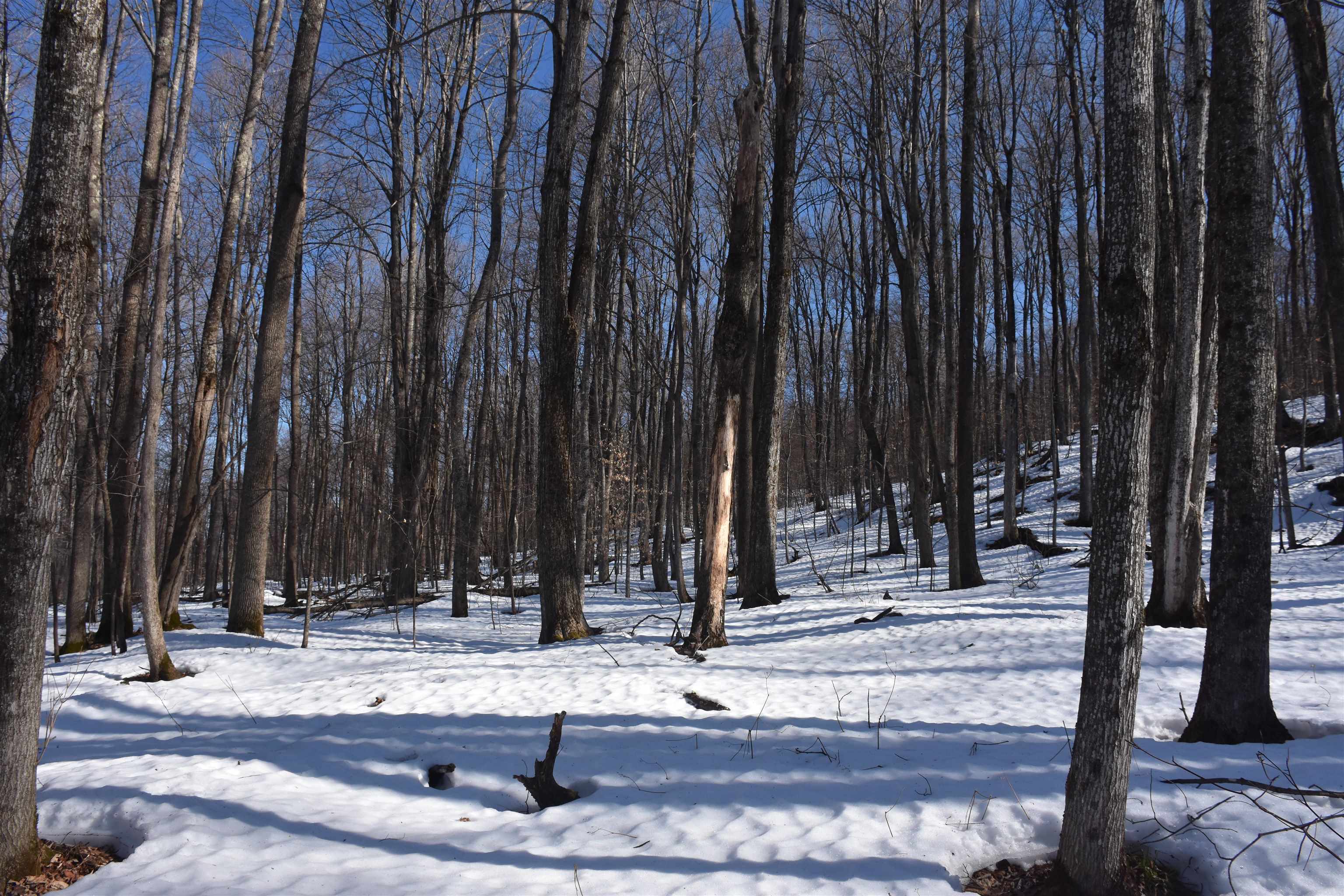 397 Winch Hill Extension Roxbury, VT 05663 - Photo 35 of 51