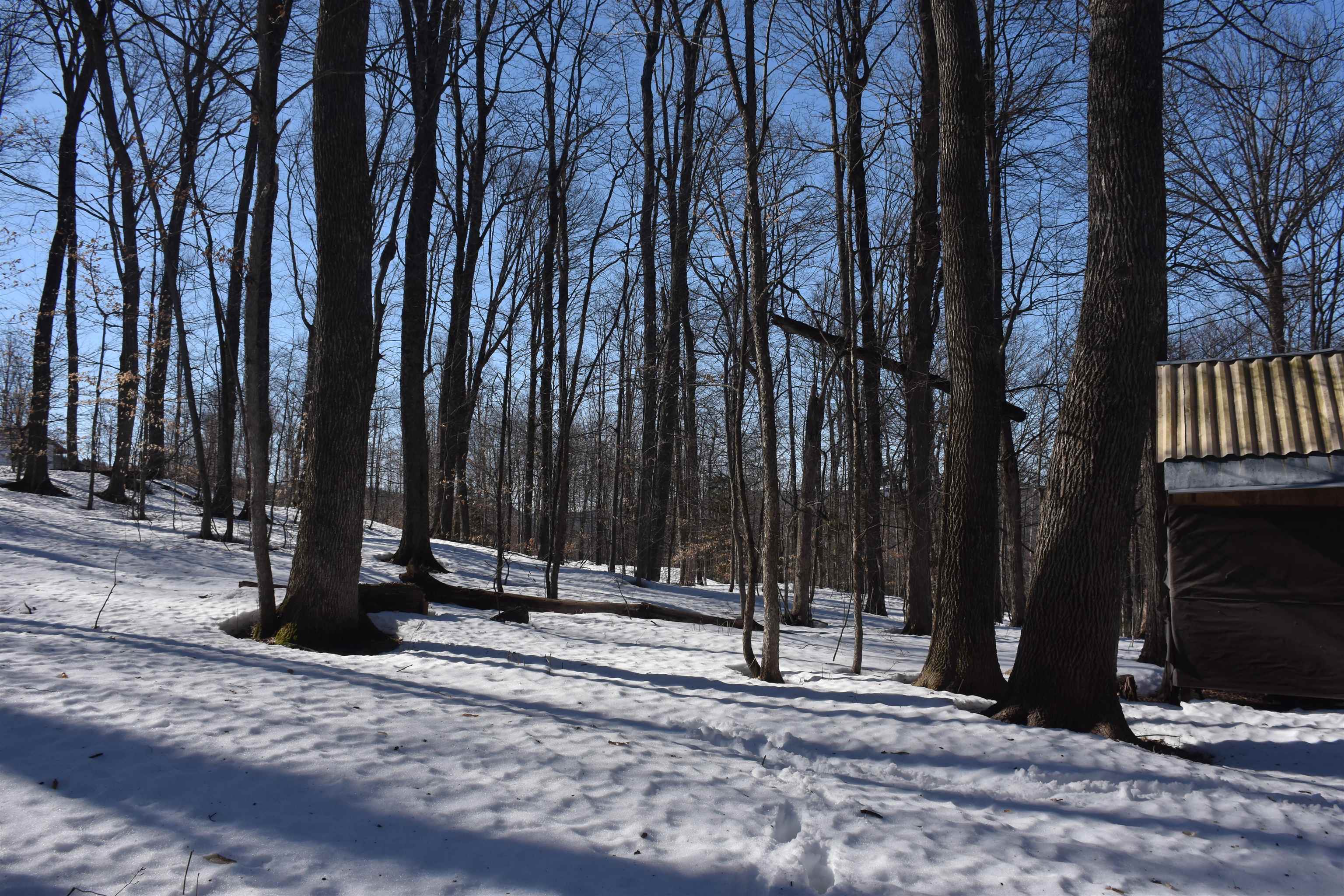 397 Winch Hill Extension Roxbury, VT 05663 - Photo 39 of 51