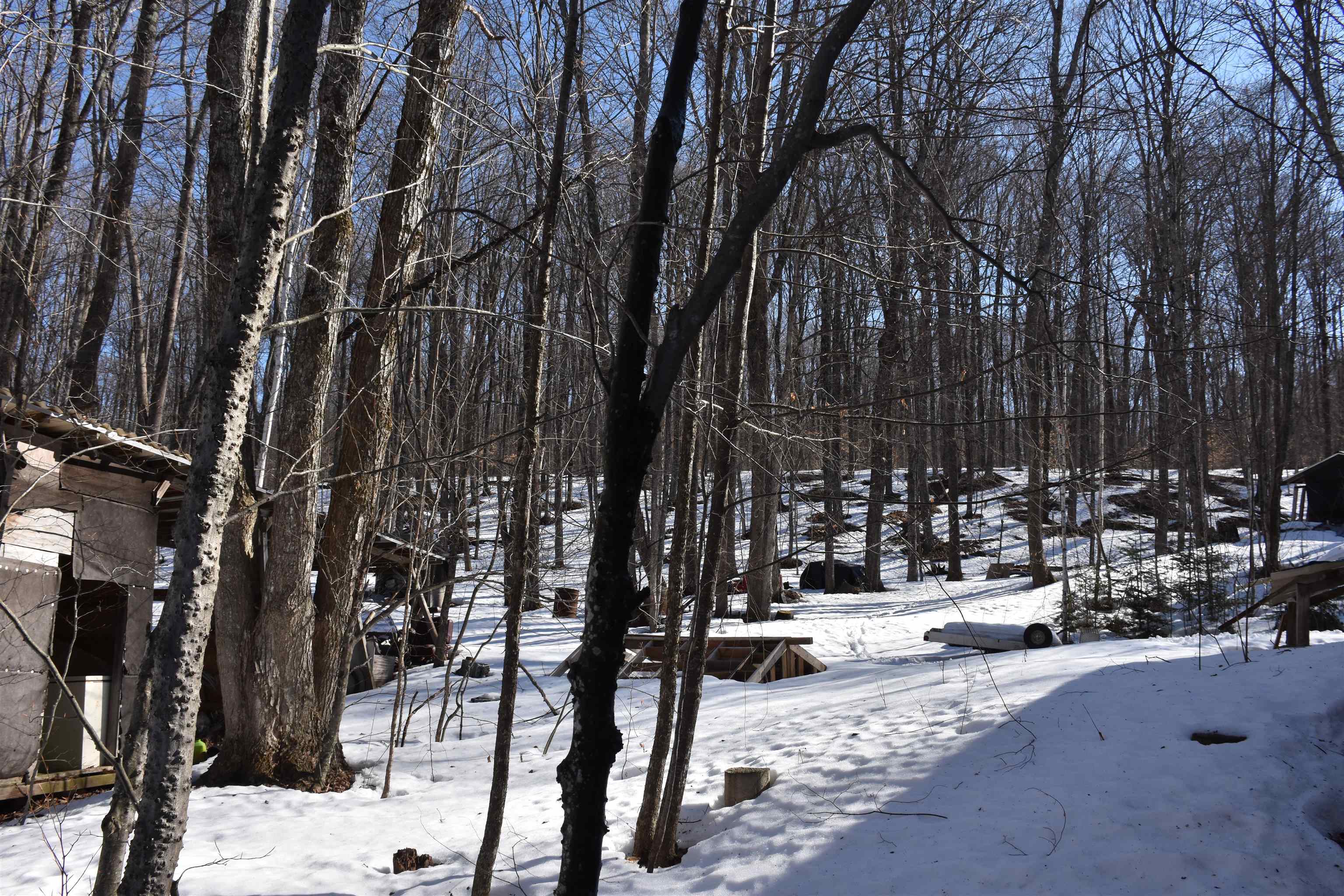 397 Winch Hill Extension Roxbury, VT 05663 - Photo 43 of 51
