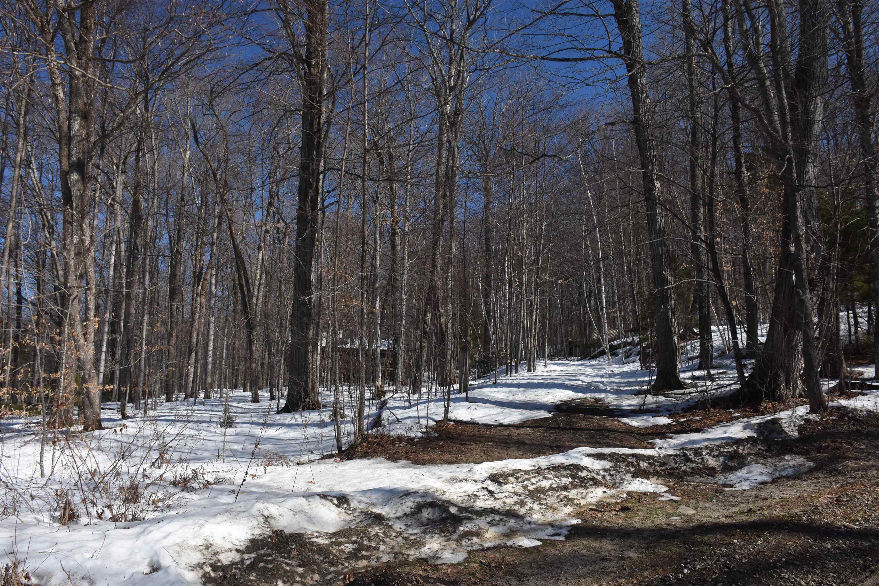 397 Winch Hill Extension Roxbury, VT 05663 - Photo 44 of 51