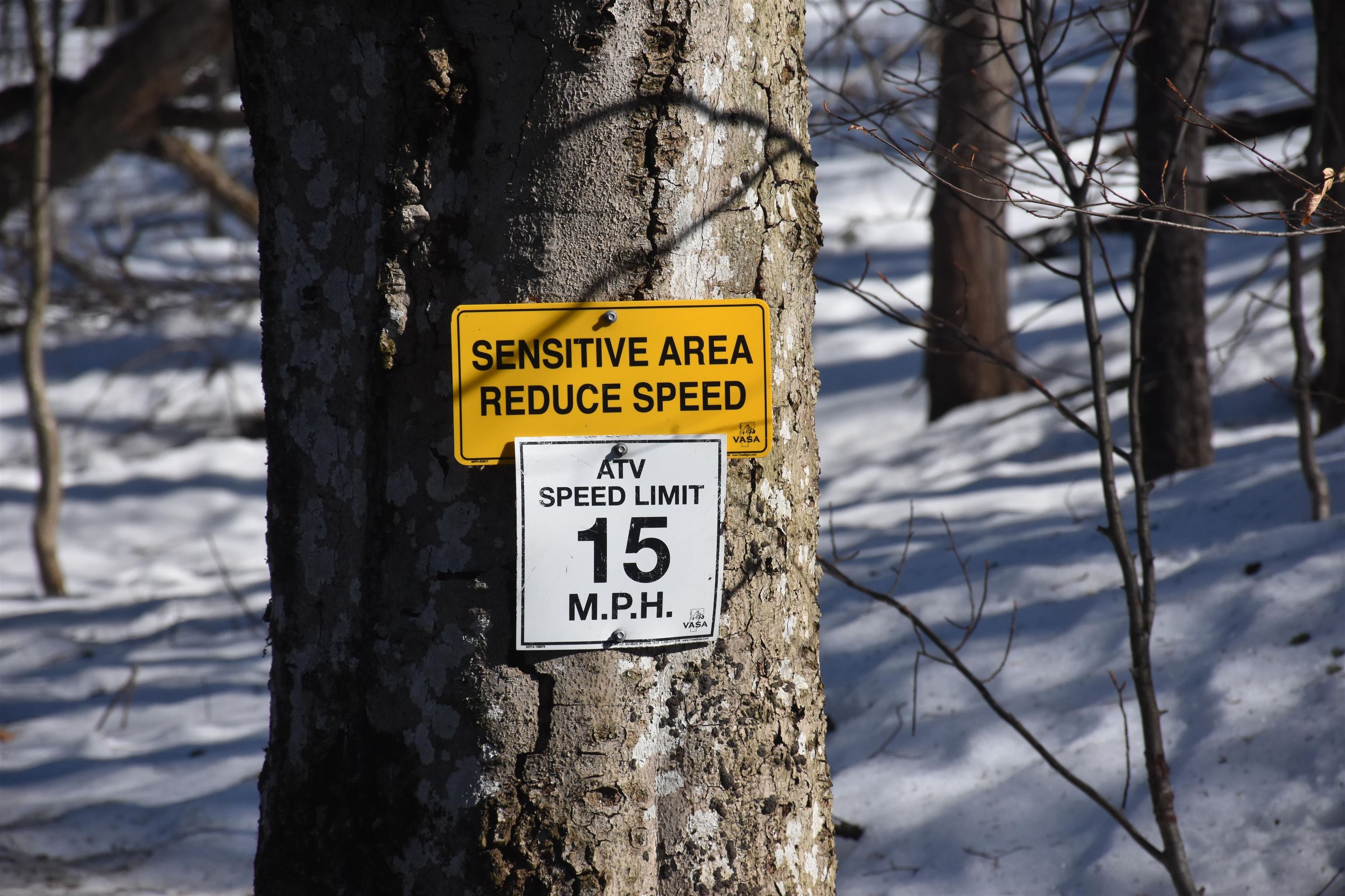 397 Winch Hill Extension Roxbury, VT 05663 - Photo 49 of 51