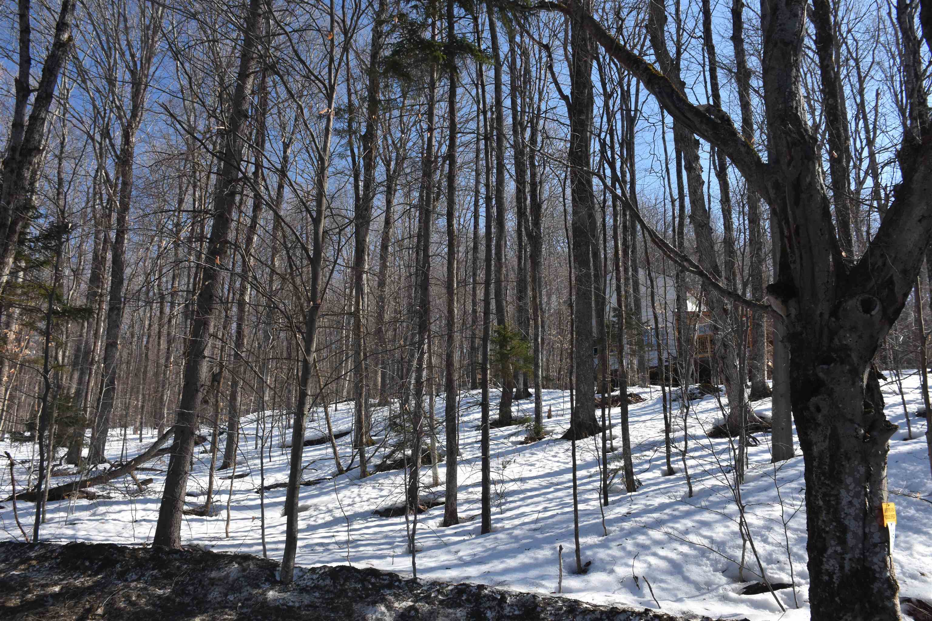 397 Winch Hill Extension Roxbury, VT 05663 - Photo 50 of 51