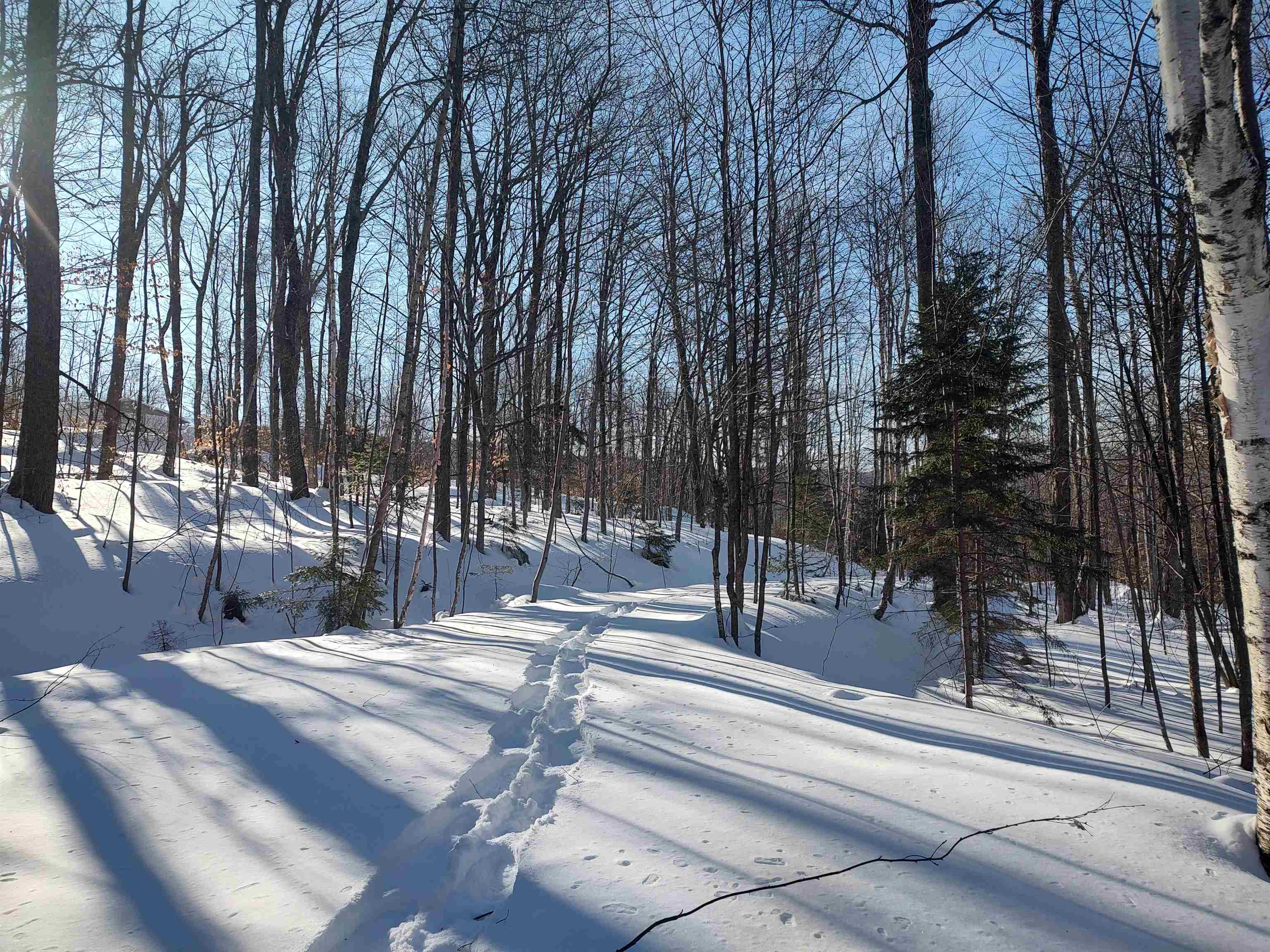 397 Winch Hill Extension Roxbury, VT 05663 - Photo 51 of 51