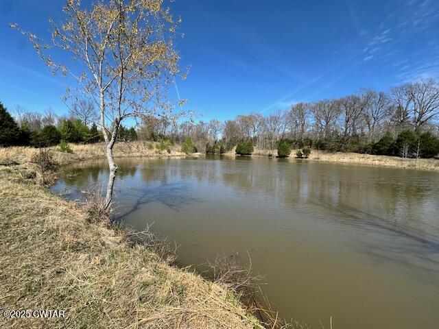 0 Idlewild Hollyleaf Road Bradford, TN 38316 - Photo 15 of 15 a view of lake with mountain
