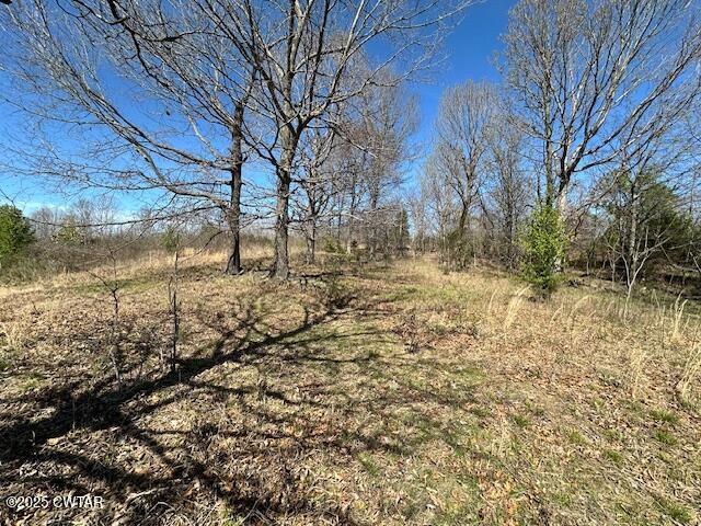 0 Idlewild Hollyleaf Road Bradford, TN 38316 - Photo 2 of 15 a view of yard covered with snow