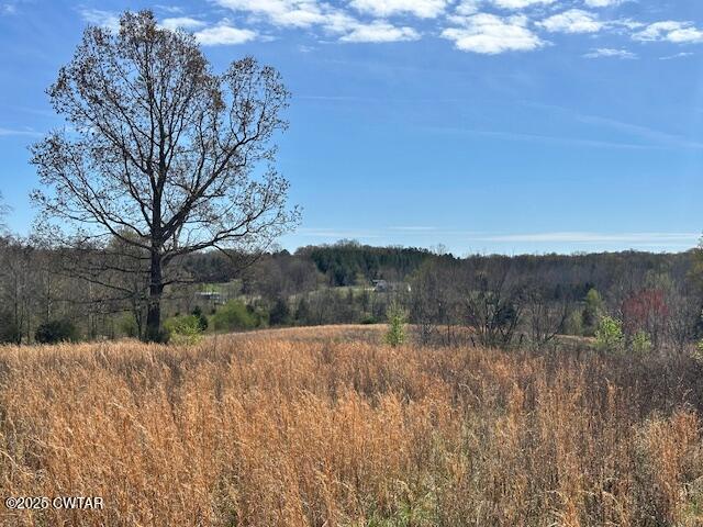 0 Idlewild Hollyleaf Road Bradford, TN 38316 - Photo 4 of 15 a view of mountain view with trees in the background