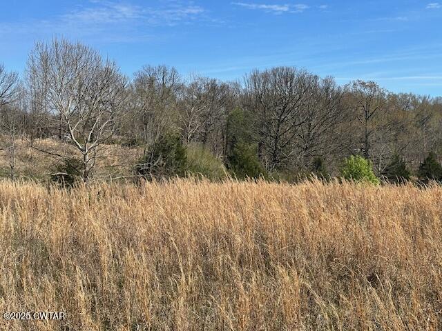 0 Idlewild Hollyleaf Road Bradford, TN 38316 - Photo 5 of 15 a view of mountain with trees in background