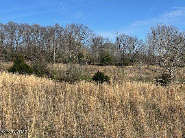 0 Idlewild Hollyleaf Road Bradford, TN 38316 - Photo 6 of 15 a view of river covered with tall trees