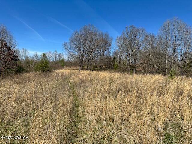 0 Idlewild Hollyleaf Road Bradford, TN 38316 - Photo 7 of 15 a view of lake with green space