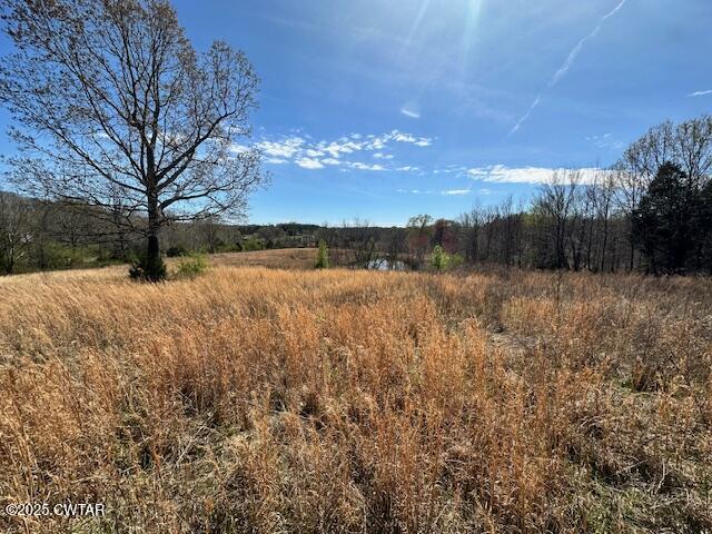 0 Idlewild Hollyleaf Road Bradford, TN 38316 - Photo 9 of 15 a view of lake with outdoor space