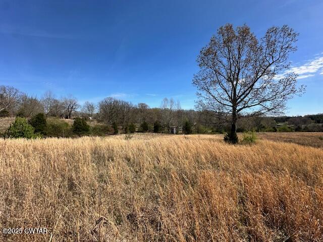 0 Idlewild Hollyleaf Road Bradford, TN 38316 - Photo 10 of 15 a view of large tree with wooden fence
