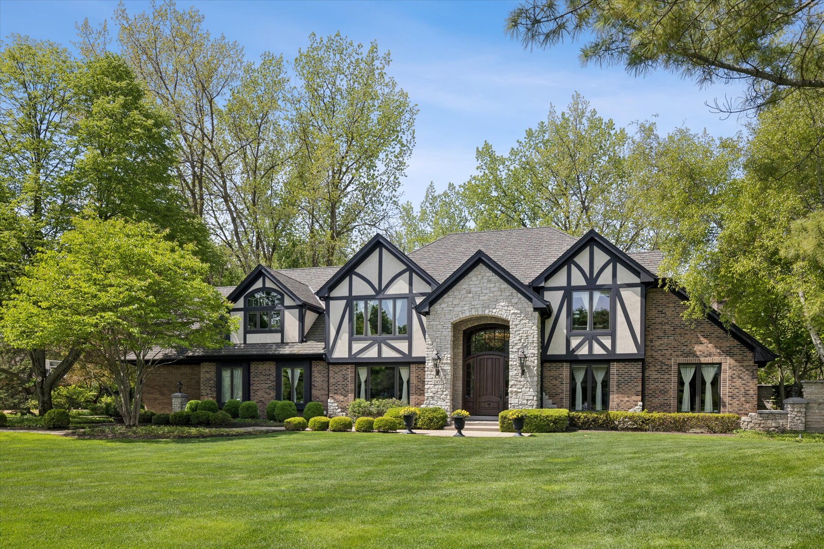 2455 Persimmon Drive St. Charles, IL 60174 - Photo 2 of 64