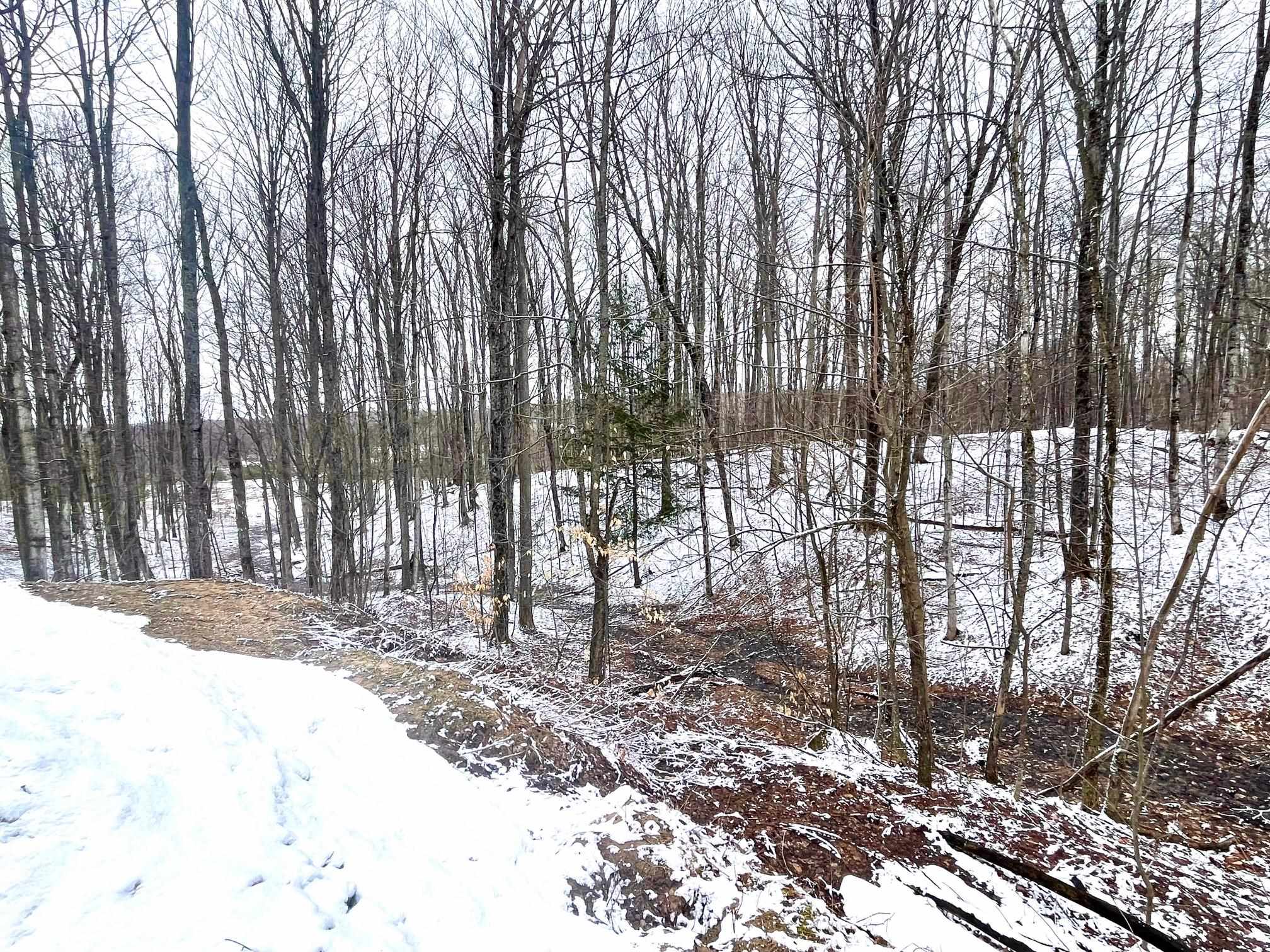 2550 Kladder Road Bellaire, MI 49615 - Photo 28 of 32 1932184-989df559-4dfc-4408-8459-a52d296cad16.JPG