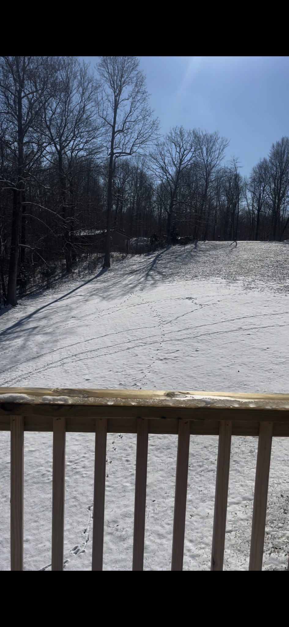 527 Hog Back Ridge Road Bethpage, TN 37022 - Photo 15 of 18