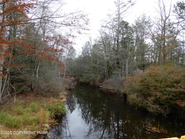a view of a lake with trees