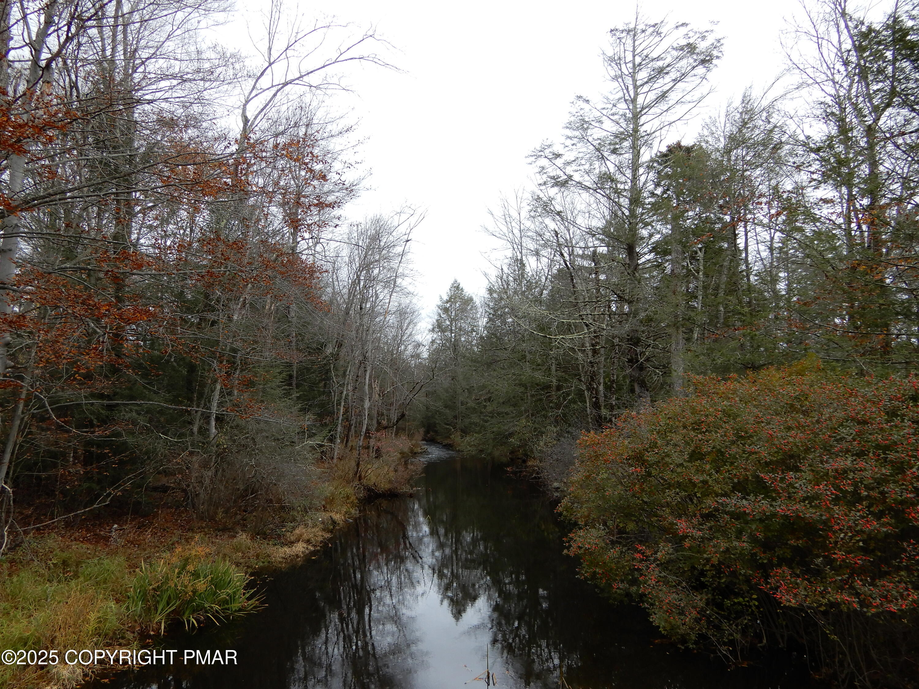 2167 Freedom Way Pocono Summit, PA 18346 - Photo 4 of 45 a view of a lake in a forest