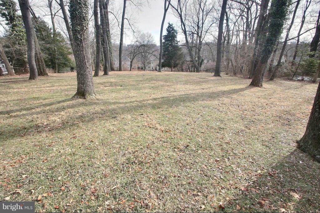 9119 Levelle Drive Chevy Chase, MD 20815 - Photo 6 of 30 a view of dirt yard with trees