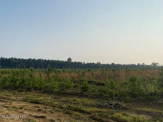 $355,750 | Barker Road, Pelahatchie, MS 39145