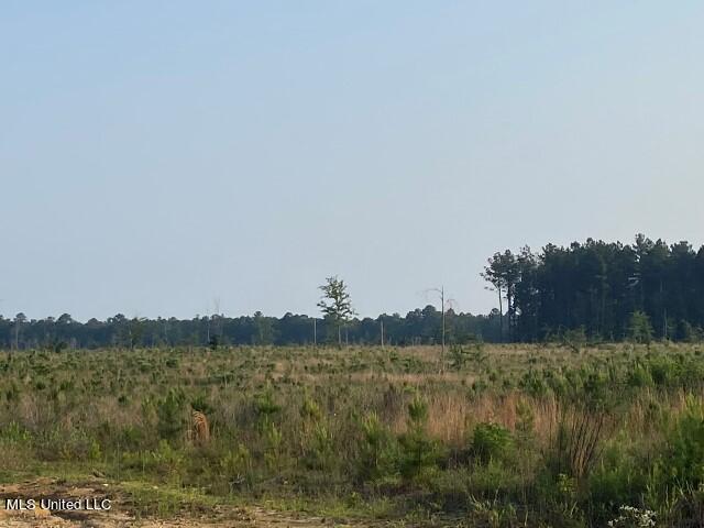 Barker Road Pelahatchie, MS 39145 - Photo 13 of 21 IMG_9219