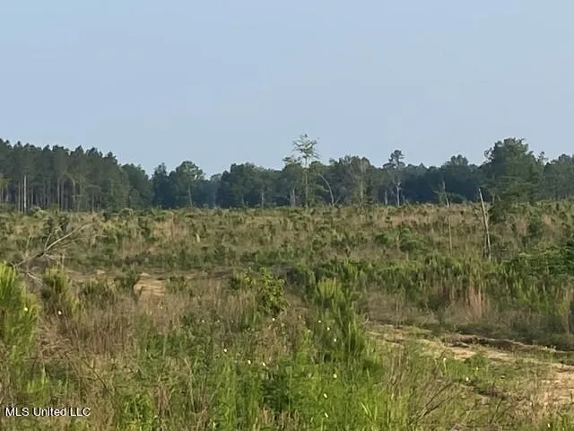 $355,750 | Barker Road, Pelahatchie, MS 39145