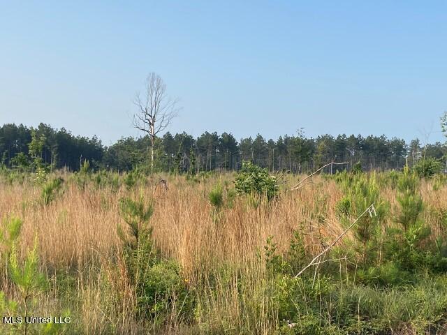 Barker Road Pelahatchie, MS 39145 - Photo 15 of 21 IMG_9223
