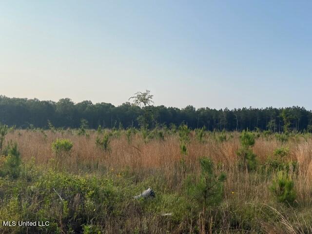 Barker Road Pelahatchie, MS 39145 - Photo 16 of 21 IMG_9224