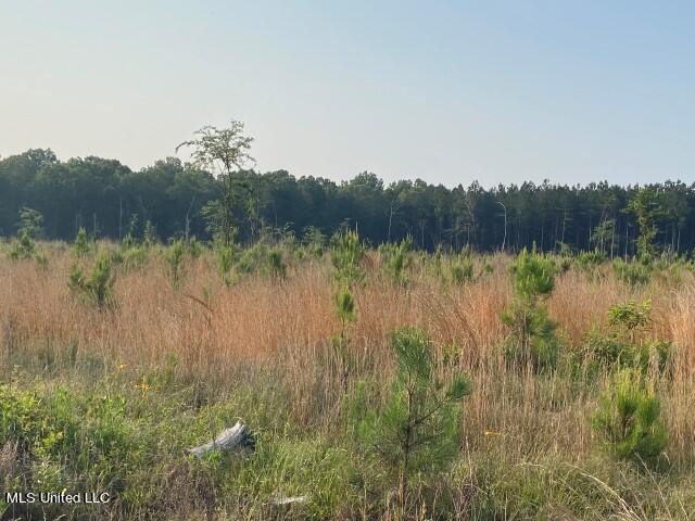 Barker Road Pelahatchie, MS 39145 - Photo 17 of 21 IMG_9225
