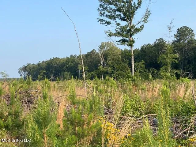 $355,750 | Barker Road, Pelahatchie, MS 39145