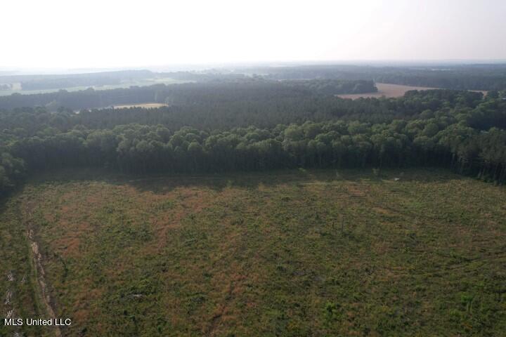 Barker Road Pelahatchie, MS 39145 - Photo 6 of 21 DJI_0177