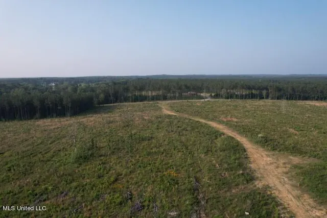 $355,750 | Barker Road, Pelahatchie, MS 39145