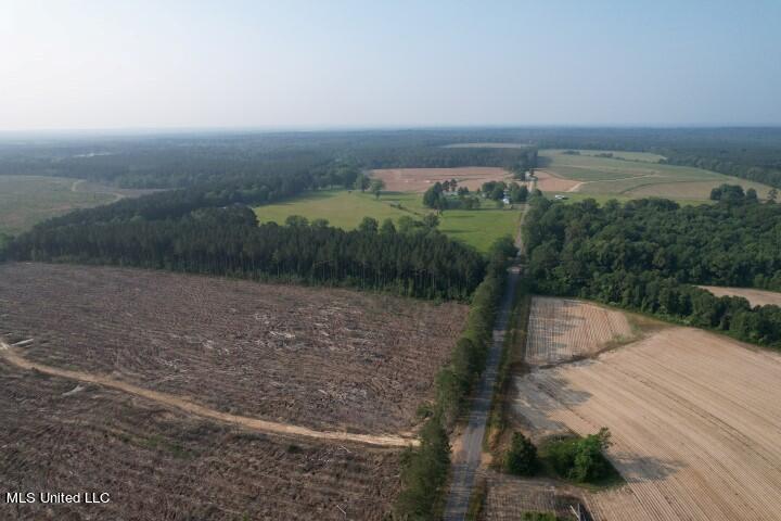 Barker Road Pelahatchie, MS 39145 - Photo 8 of 21 DJI_0181