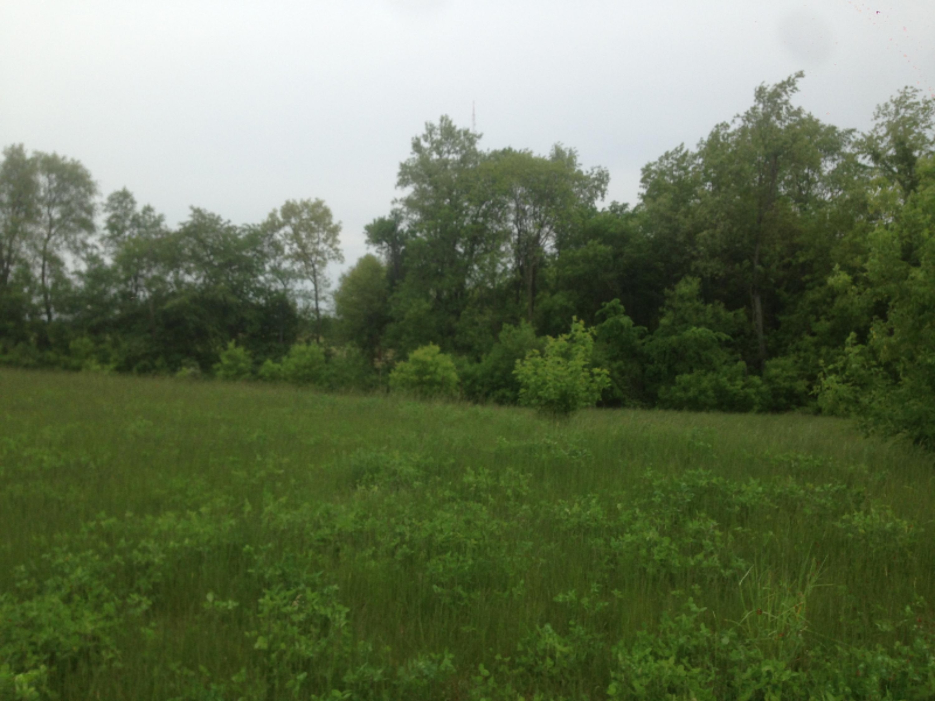 Prairie Ridge Middleville, MI 49333 - Photo 2 of 4 Prairie Ridge Lot 5.3