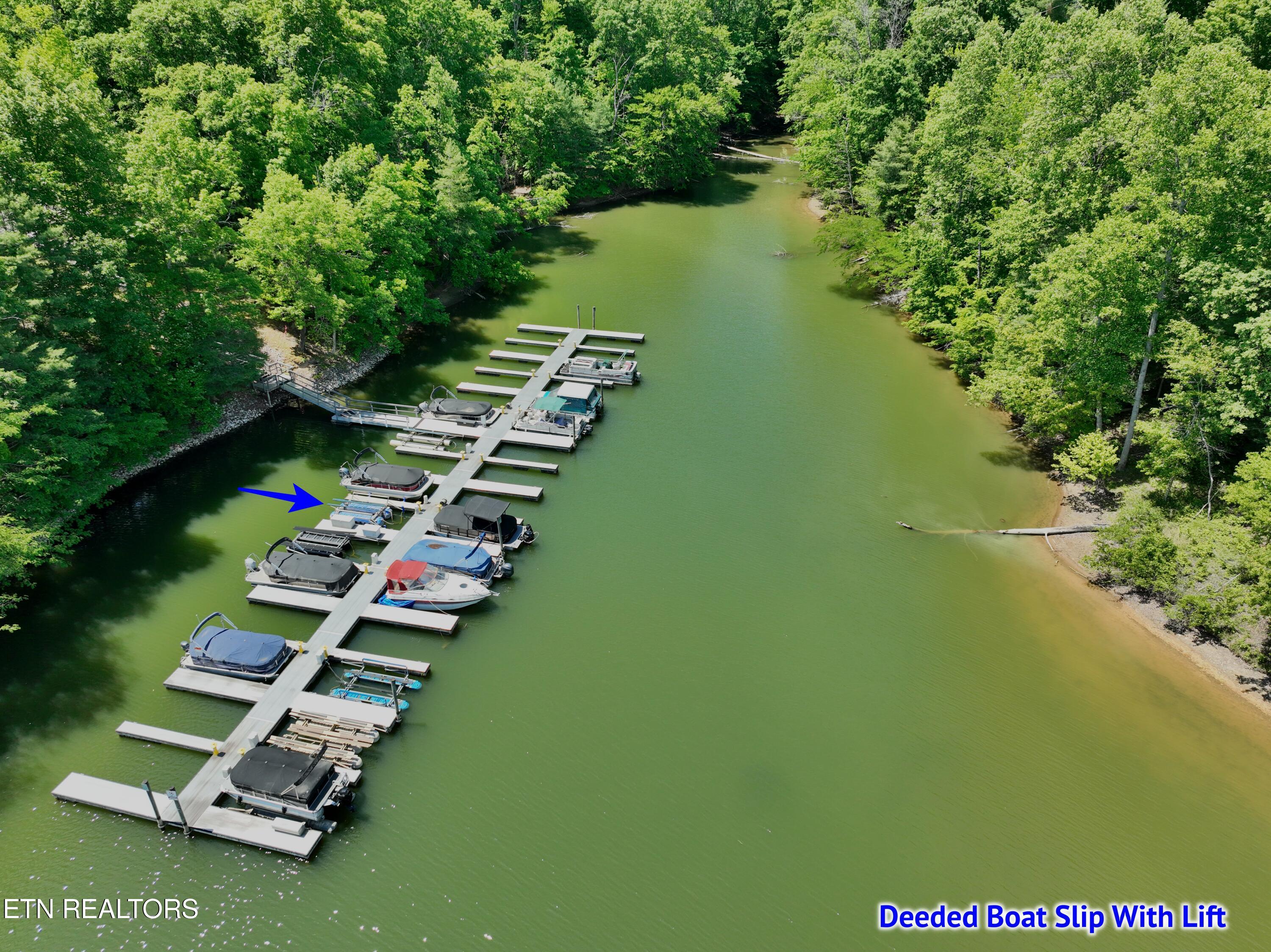 0 Flint Ridge Road Rockwood, TN 37854 - Photo 6 of 37 DJI_0619