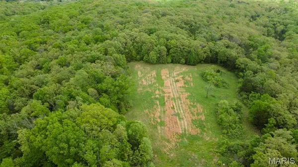 $221,500 | 0 Blackberry Hills Road, Bloomsdale, MO 63627