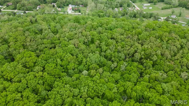 $221,500 | 0 Blackberry Hills Road, Bloomsdale, MO 63627