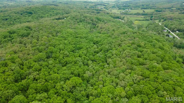 $221,500 | 0 Blackberry Hills Road, Bloomsdale, MO 63627