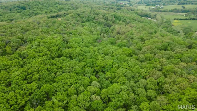 $221,500 | 0 Blackberry Hills Road, Bloomsdale, MO 63627