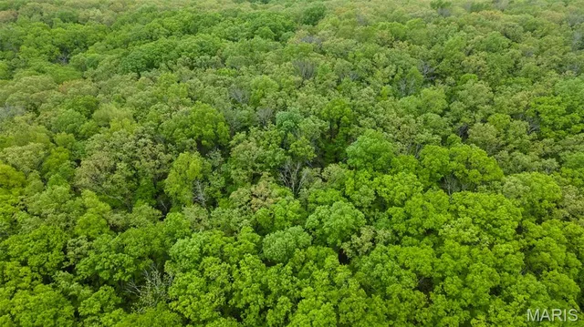 $221,500 | 0 Blackberry Hills Road, Bloomsdale, MO 63627