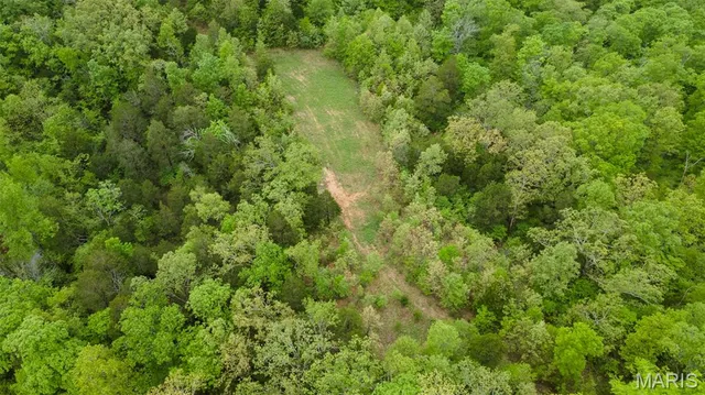 $221,500 | 0 Blackberry Hills Road, Bloomsdale, MO 63627