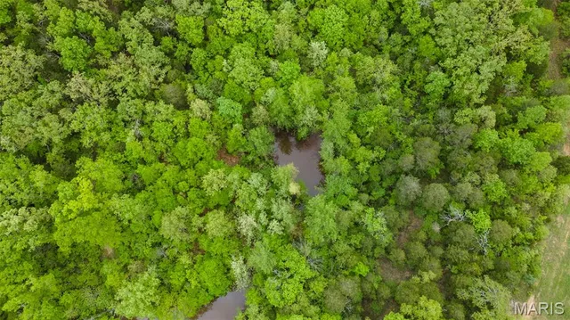 $221,500 | 0 Blackberry Hills Road, Bloomsdale, MO 63627