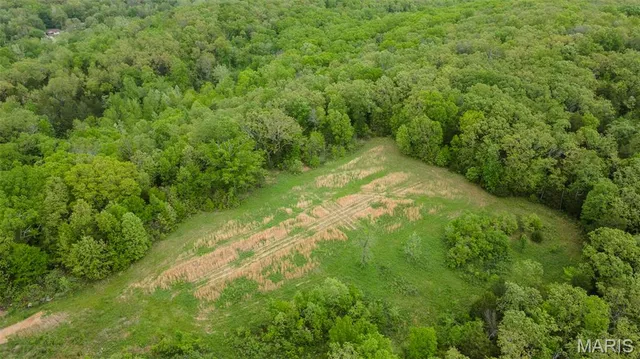 $221,500 | 0 Blackberry Hills Road, Bloomsdale, MO 63627