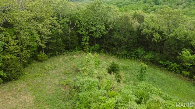 $221,500 | 0 Blackberry Hills Road, Bloomsdale, MO 63627