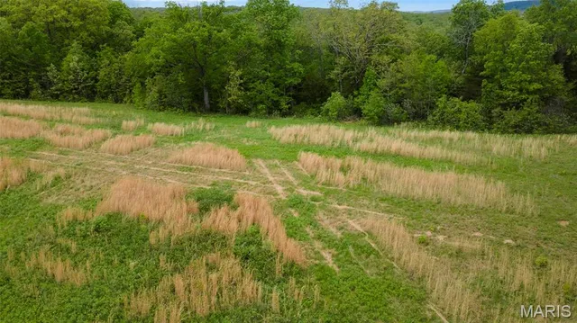 $221,500 | 0 Blackberry Hills Road, Bloomsdale, MO 63627