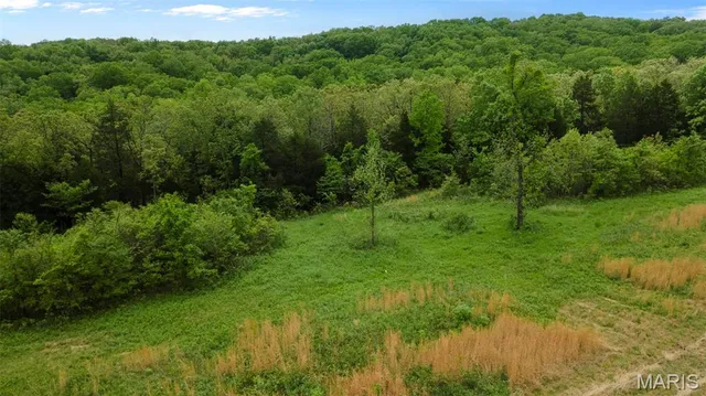$221,500 | 0 Blackberry Hills Road, Bloomsdale, MO 63627